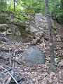 Elwell Trail NH 2010 165